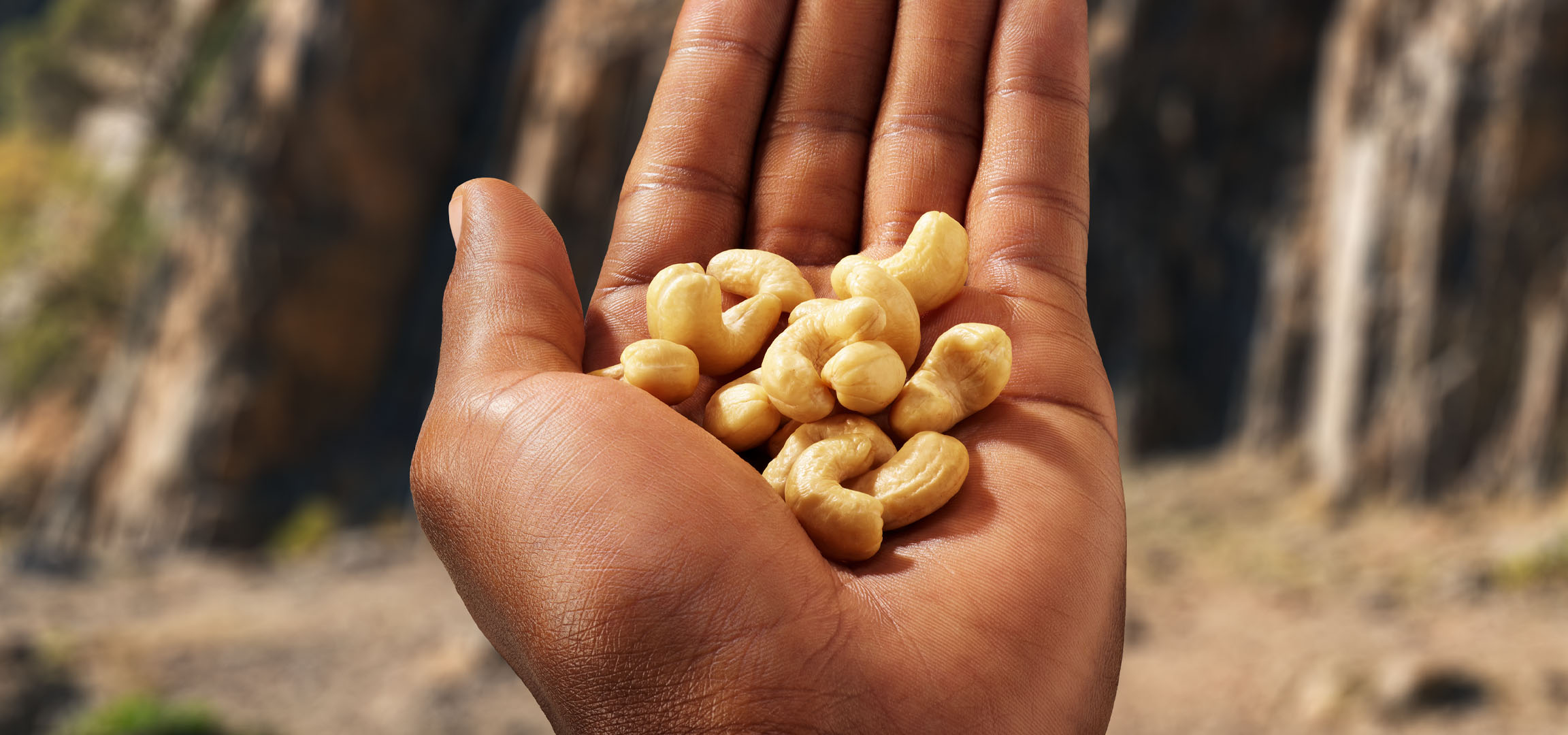 Eine Handvoll Cashewnüsse in einer Handfläche vor verschwommenem Hintergrund.