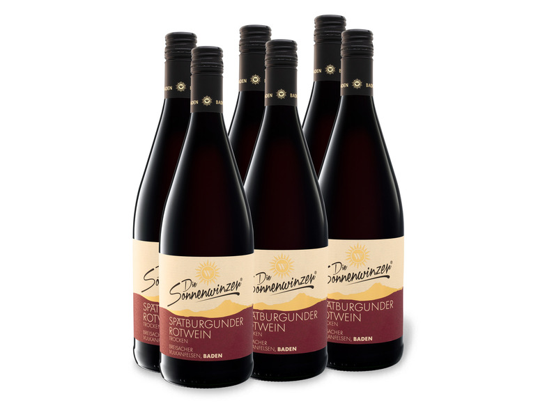 6 QbA Weinpaket 1,0-l-Flasche trocken, x Literflasche, Vulkanfelsen Spätburgunder Rotwein Breisacher