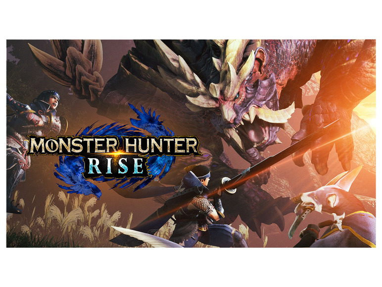 Kit Deluxe Monster Rise Hunter Nintendo