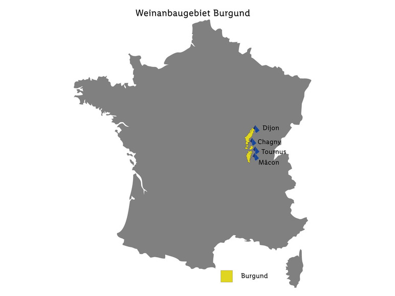 Gehe zu Vollbildansicht: Mâcon-Villages Chardonnay AOP trocken, Weißwein 2022 - Bild 3
