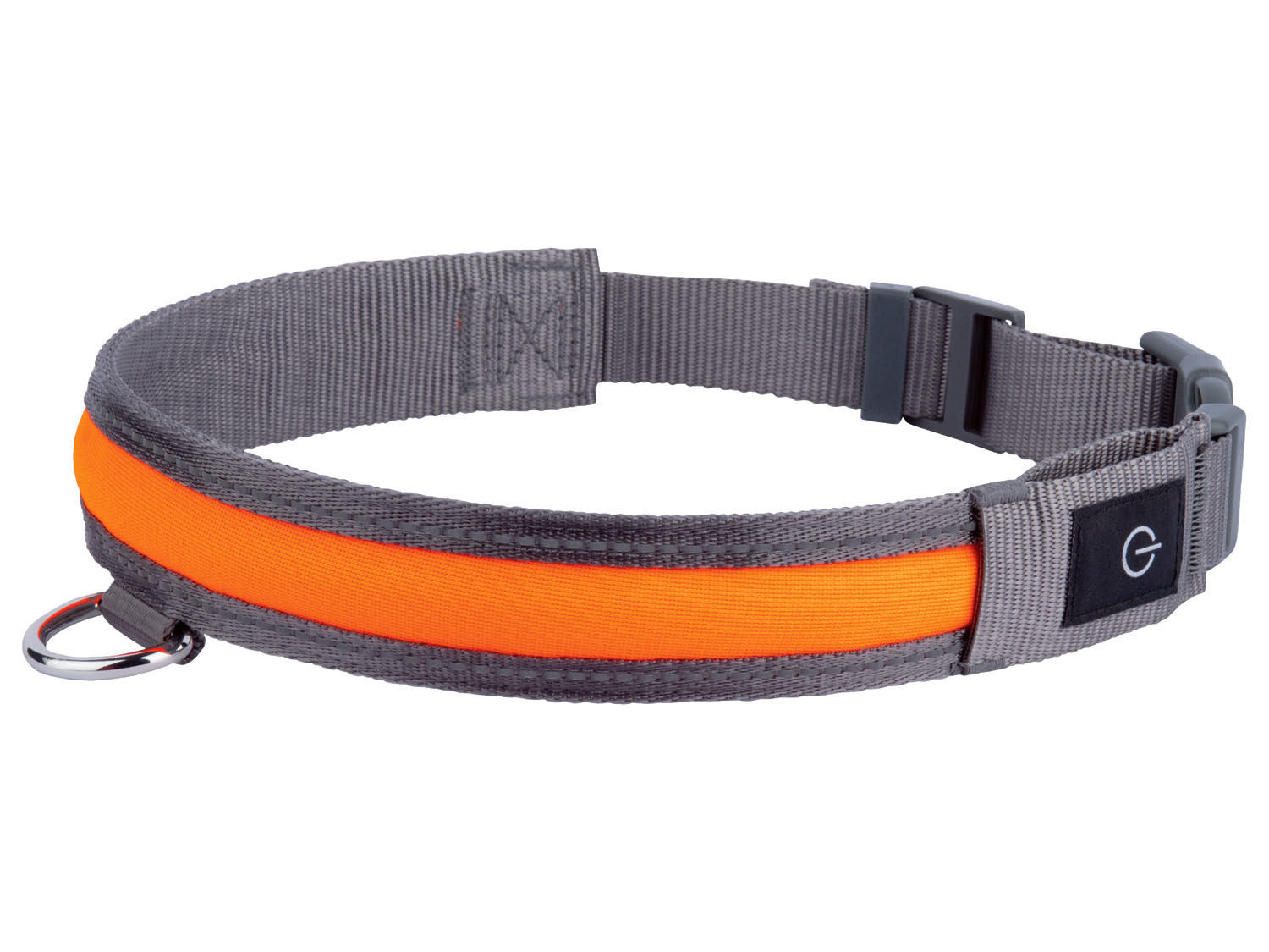 zoofari® Hundehalsband, LED | online mit kaufen LIDL