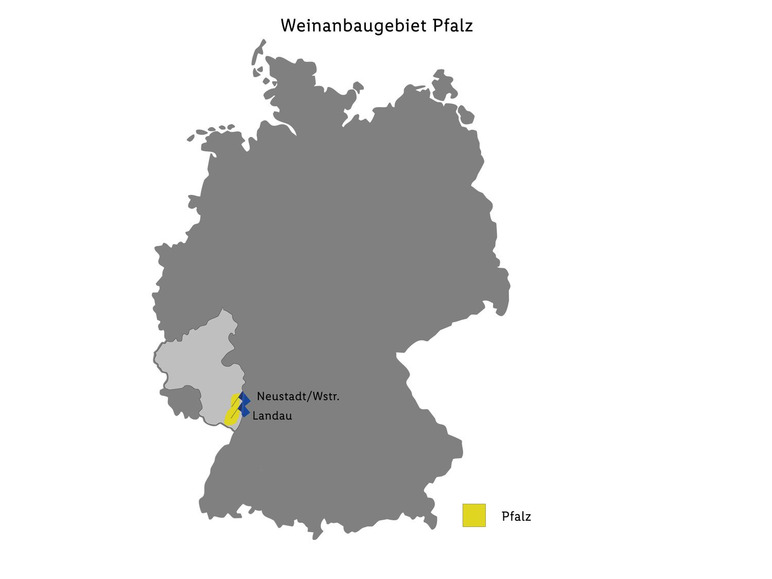 Gehe zu Vollbildansicht: Deutsches Weintor EDITION MILD Grau- und Weißburgunder QbA halbtrocken, Weißwein 2022 - Bild 2