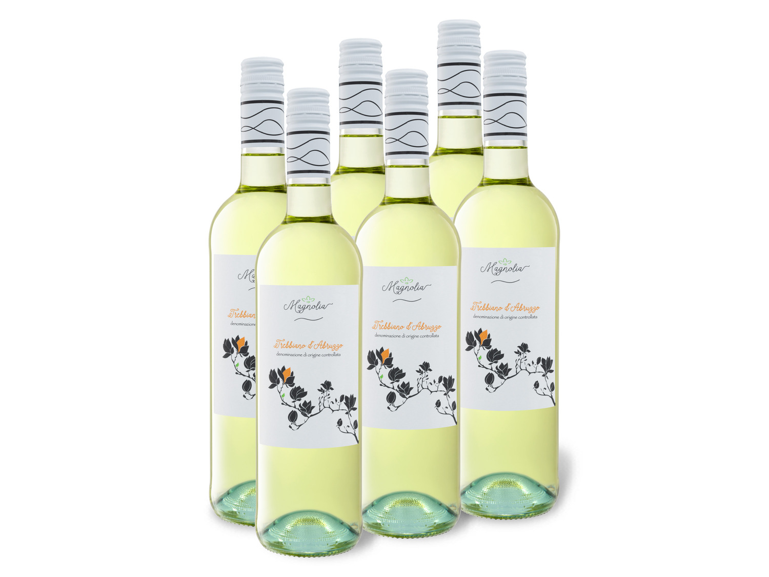 6 x 0 75-l-Flasche Weinpaket d\'Abruzzo Weißwein Trebbiano Magnolia DOC trocken