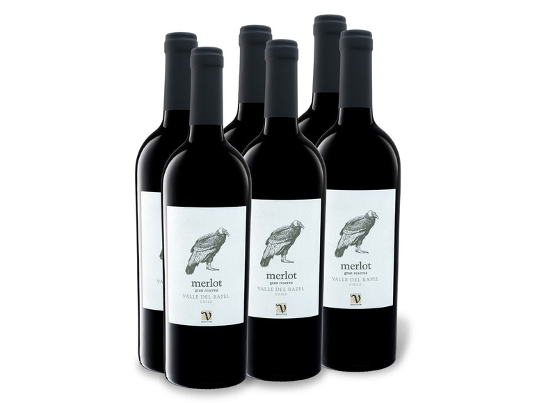 6 x 0,75-l-Flasche Weinpaket VIAJERO del trocken, Reserva Valle Merlot Gran Rotwein Rapel
