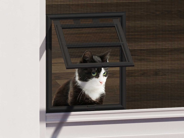 Gehe zu Vollbildansicht: wip Katzenklappe für Insektenschutztür, Einbauelement, einfache Montage - Bild 1
