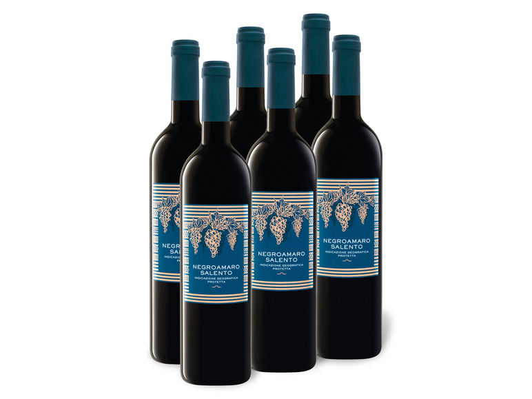 6 x 0,75-l-Flasche Weinpaket IGP Negroamaro trocken, Salento Rotwein