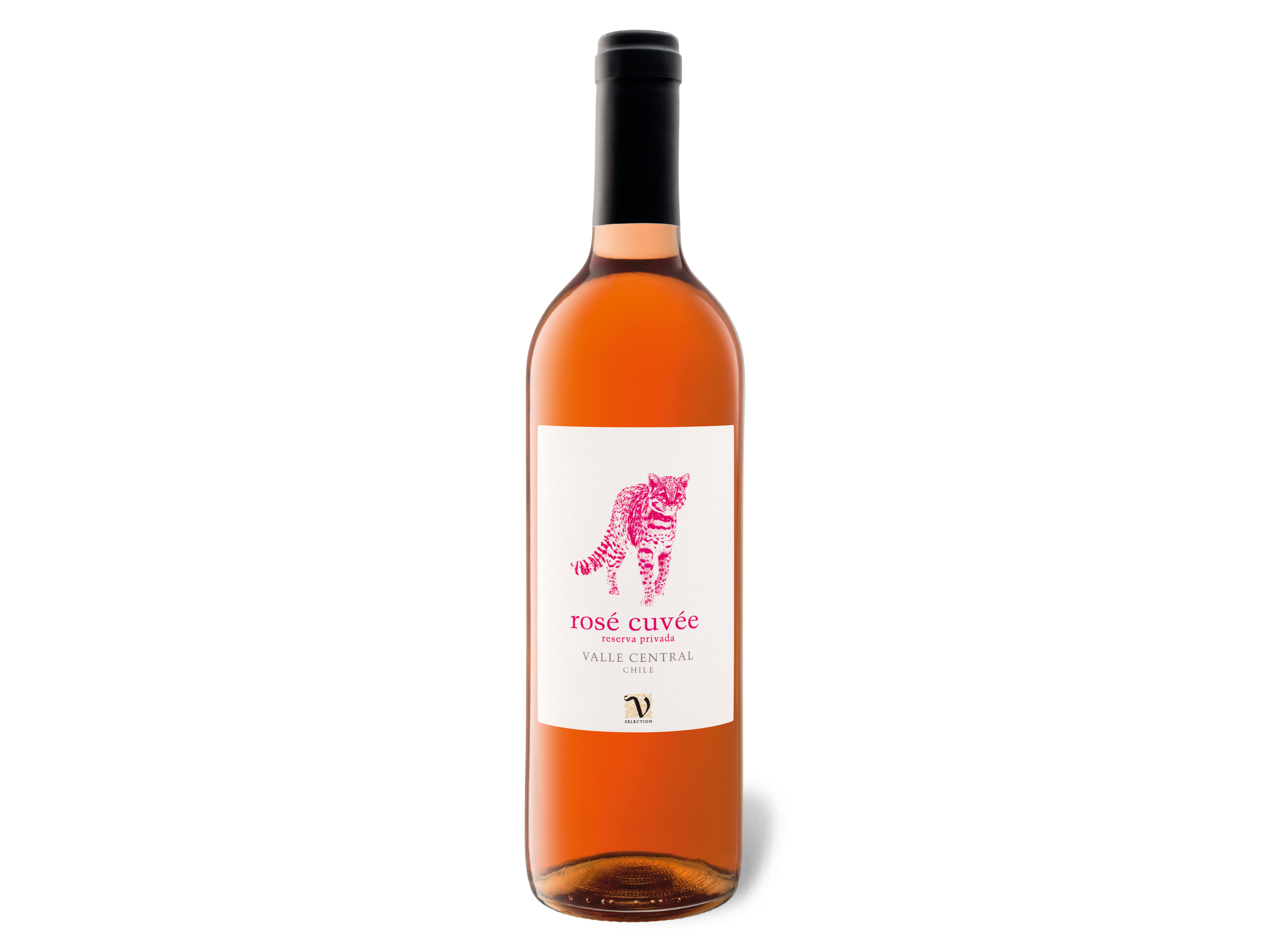 VIAJERO Rosé Cuvée Valle Central Reserva Privada trocken, Roséwein 2022 Wein & Spirituosen Lidl DE