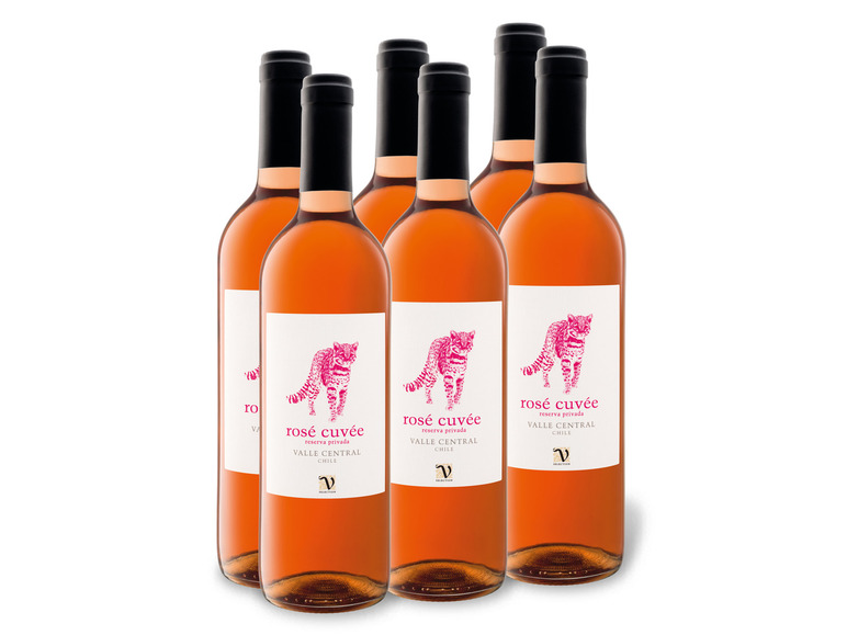 0,75-l-Flasche Rosé Roséwein trocken, VIAJERO Weinpaket 6 Valle Central x Cuvée Reserva Privada