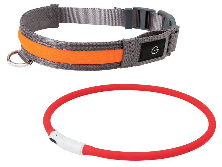 Gehe zu Vollbildansicht: ZOOFARI® LED Hundehalsband, inklusive USB-Kabel - Bild 1