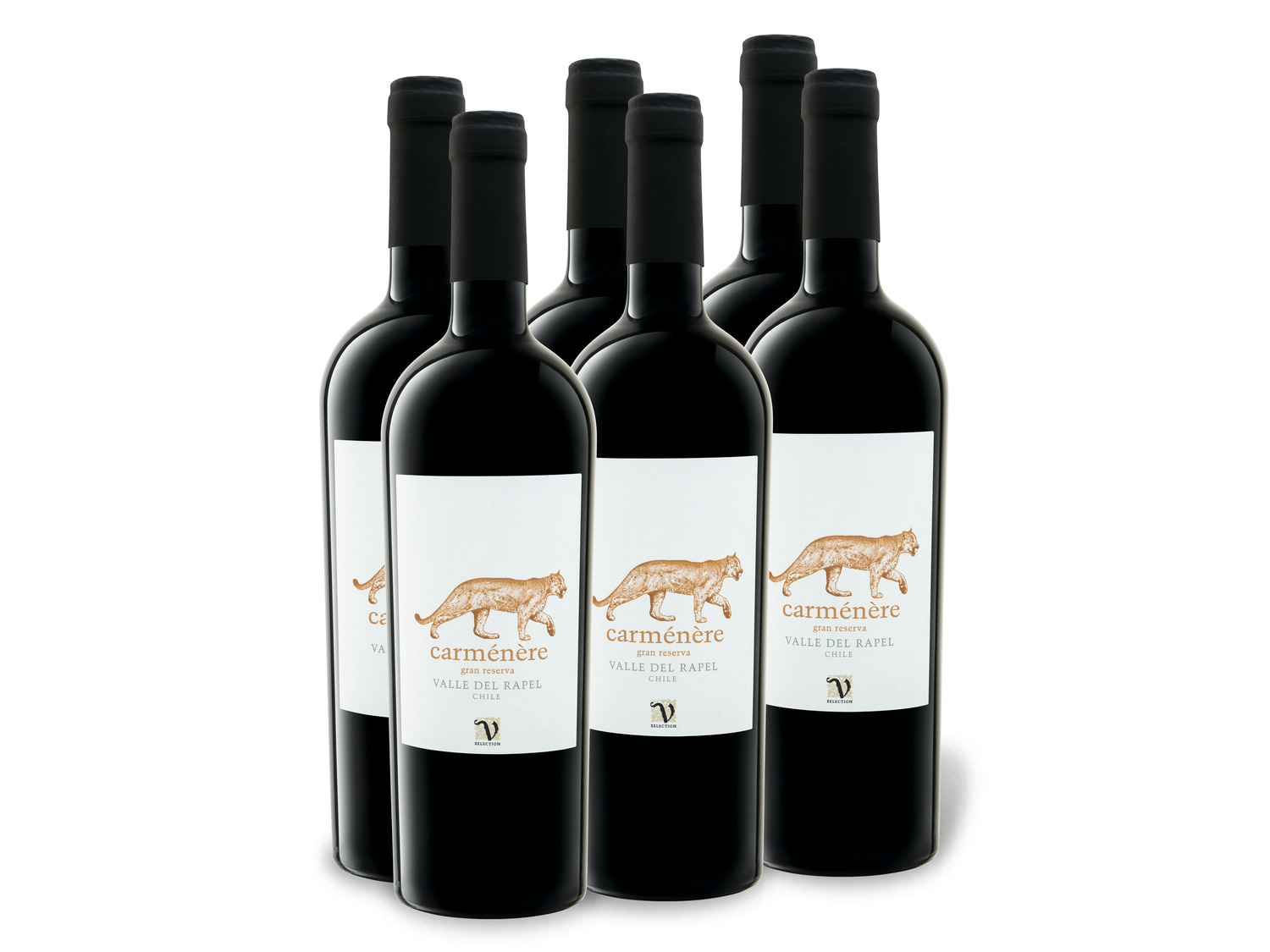 Rapel Weinpaket VIAJERO Carménère Rotwein x 0,75-l-Flasche del trocken, Reserva 6 Gran Valle