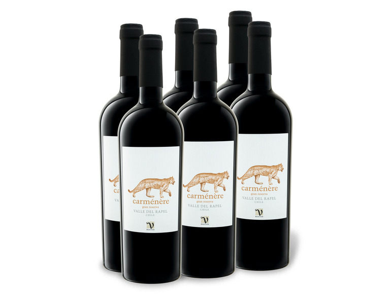 6 x Carménère Rotwein trocken, 0,75-l-Flasche VIAJERO Weinpaket del Gran Rapel Reserva Valle
