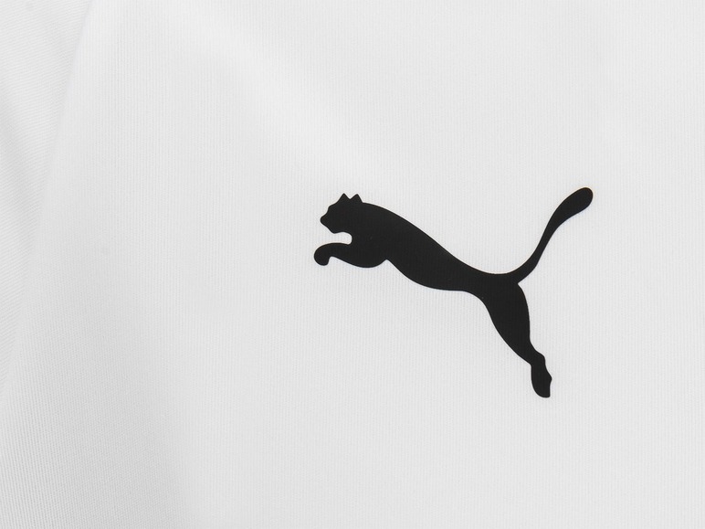 Gehe zu Vollbildansicht: Puma Herren Funktionsshirt LIGA Jersey Core - Bild 3