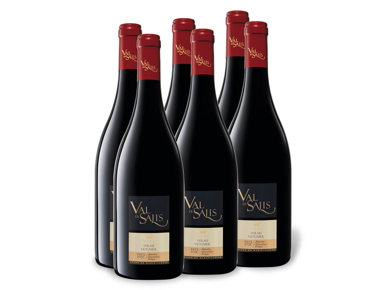 IGP Pays Val Reserve 0,75-l-Flasche 6 Weinpaket de Viognier trocken, Syrah d\'Oc Rotwein Salis x
