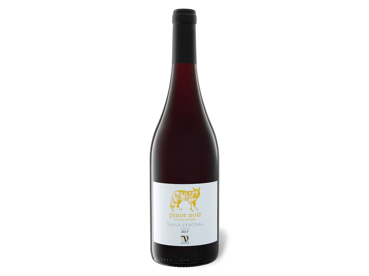 VIAJERO Pinot trocken, Reserva 2020 Chile Rotwein Noir Privada