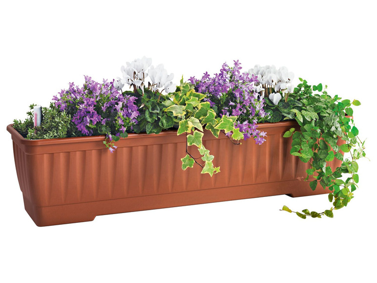 Gehe zu Vollbildansicht: PARKSIDE® Blumenkasten, 60 cm, mit Wasserstandanzeige - Bild 4