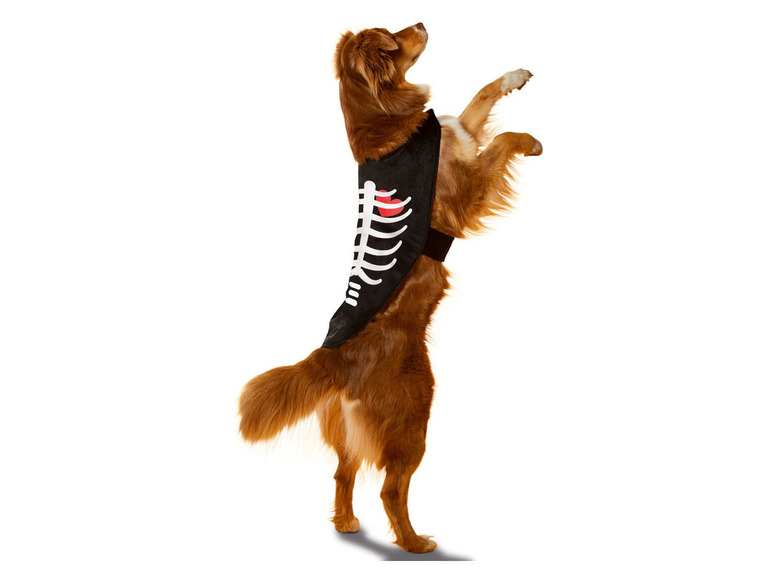 Gehe zu Vollbildansicht: Hundekostüm, mit Klettverschluss - Bild 3