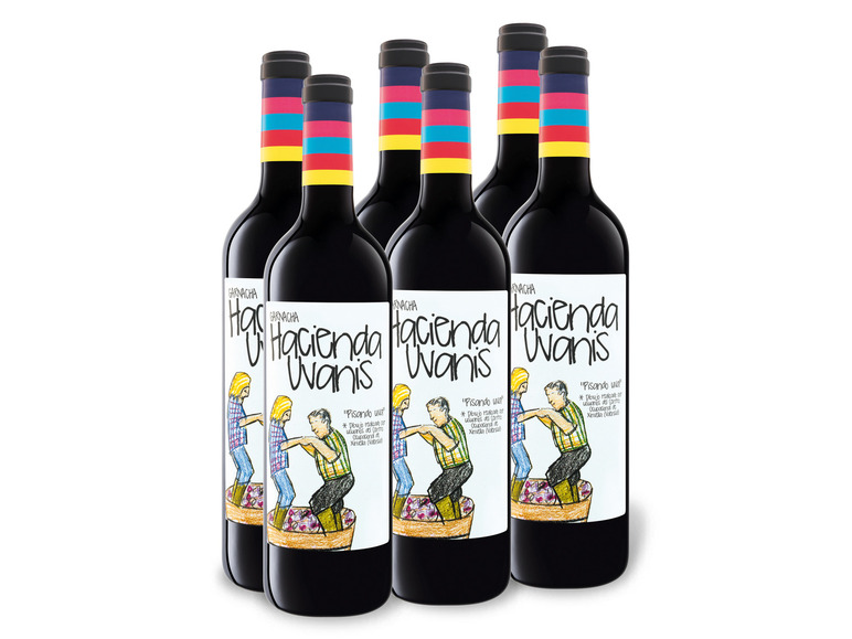 Uvanis Hacienda Rotwein Weinpaket 6 0,75-l-Flasche Garnacha trocken, x DO