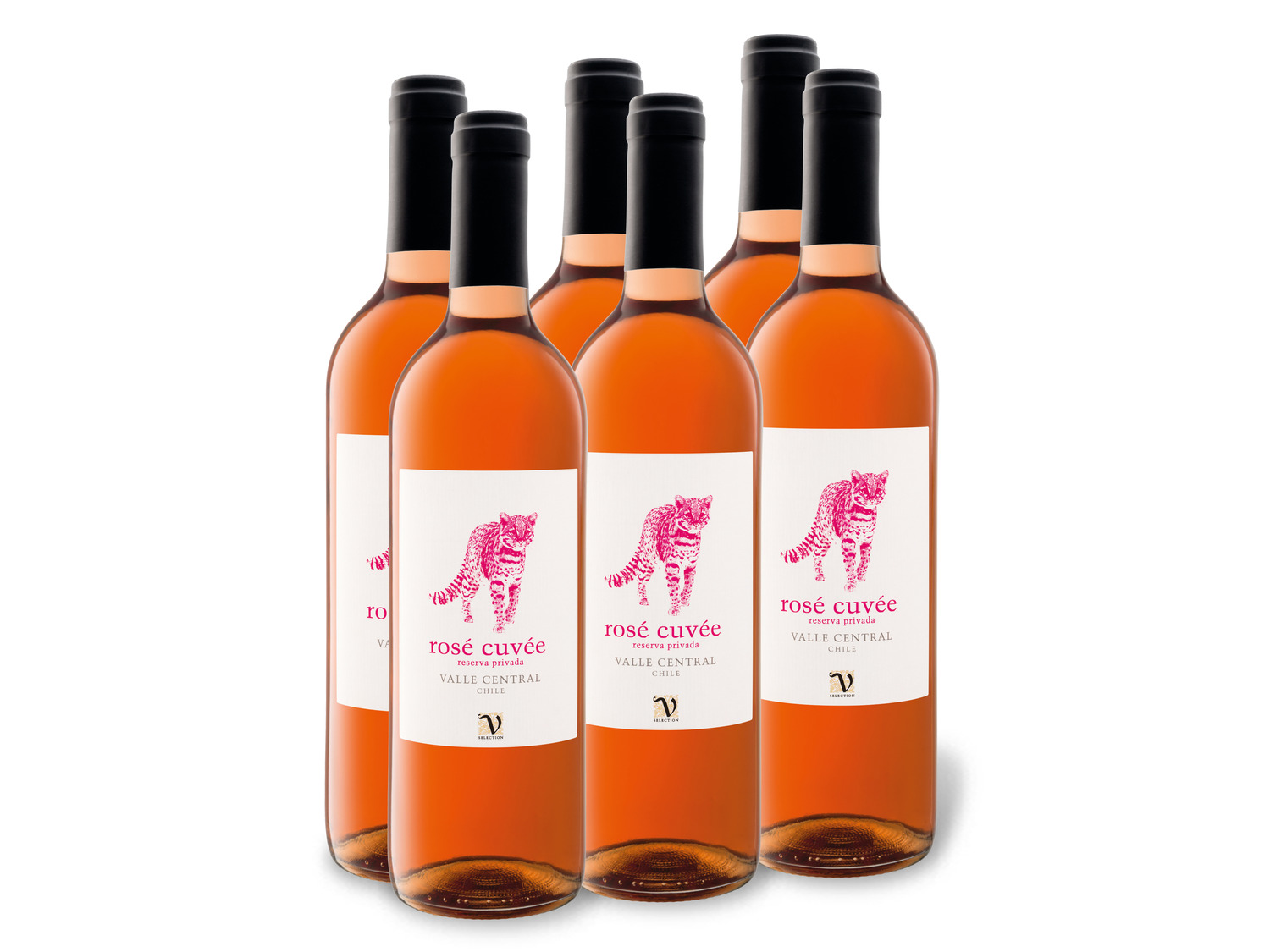 6 x 0,75-l-Flasche Weinpaket Valle … Rosé VIAJERO Cuvée