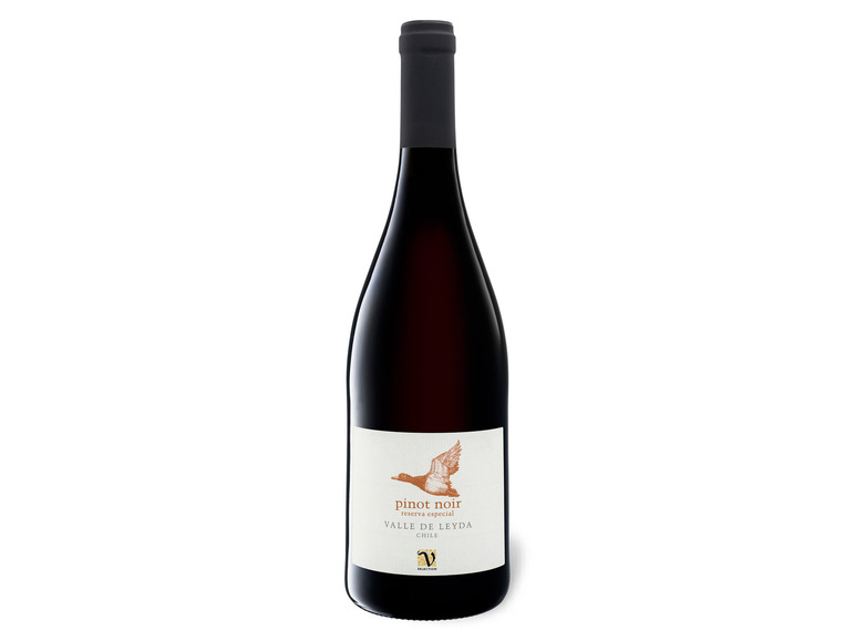VIAJERO Pinot Noir Chile Valle Leyda trocken, de 2019 Rotwein