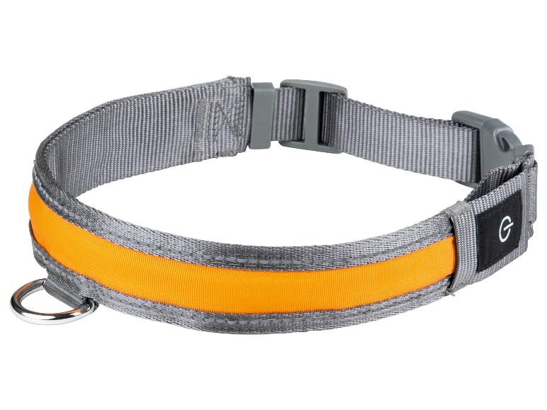 Gehe zu Vollbildansicht: zoofari® LED-Hundehalsband, mit 3 Leuchtfunktionen - Bild 9