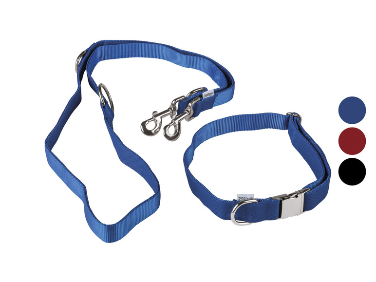 Gehe zu Vollbildansicht: zoofari® Hundehalsband mit Hundeleine - Bild 1