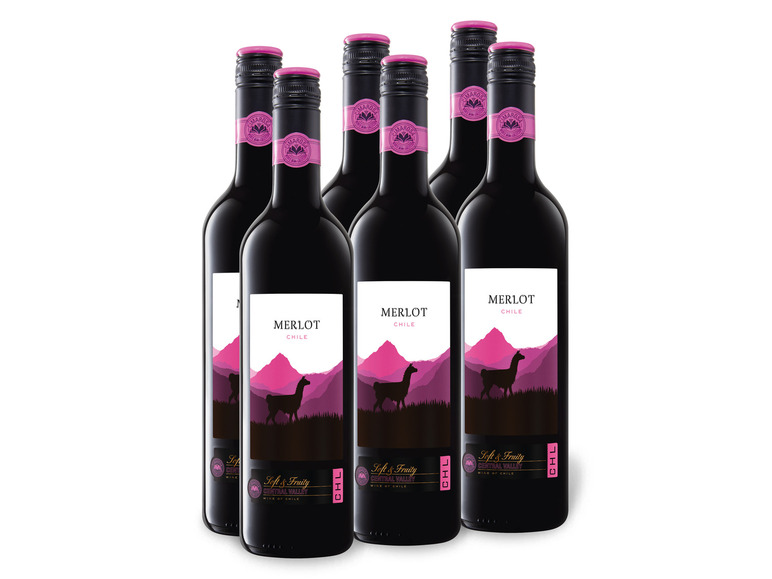 Valley Rotwein Chile Weinpaket Merlot 0,75-l-Flasche Central trocken, x 6