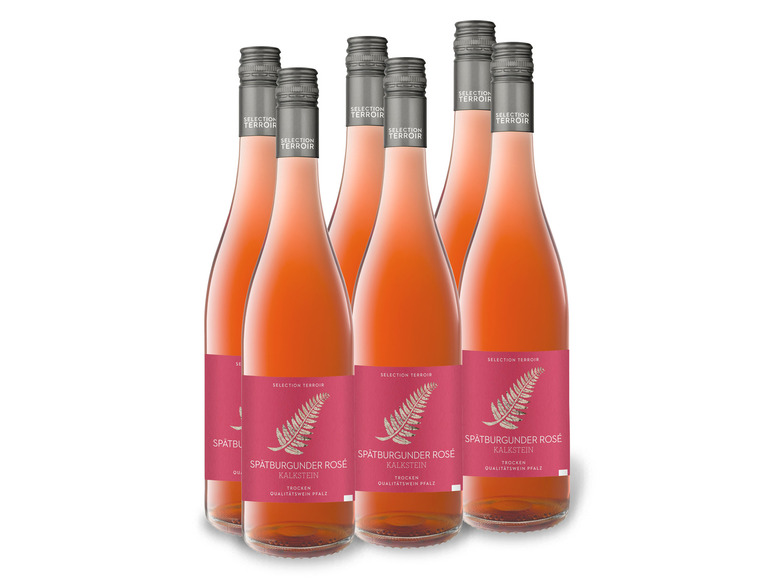 6 x 0 75-l-Flasche QbA Kalkstein Selection trocken Spätburgunder Rosé Terroir Weinpaket Roséwein