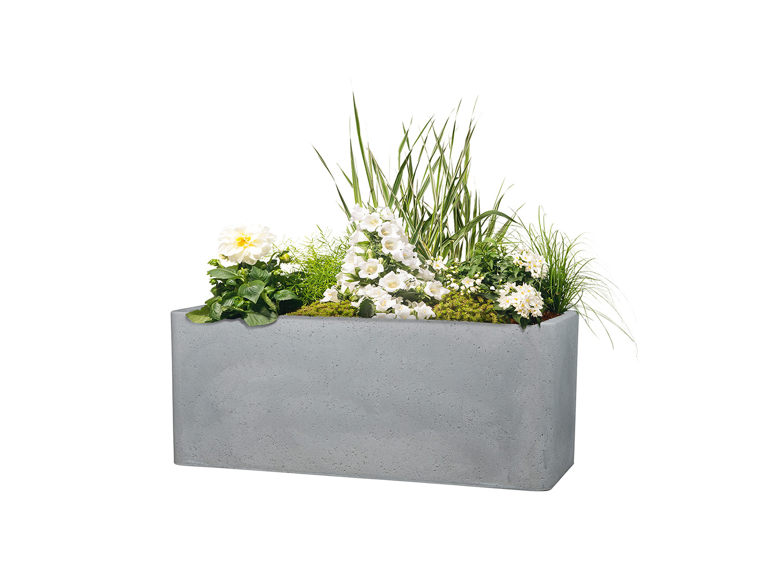 Scheurich Longgefäß »Cube Box«, Kunststoff, quadratisch (Stony Grey, Länge 60 cm) Länge 60 cm