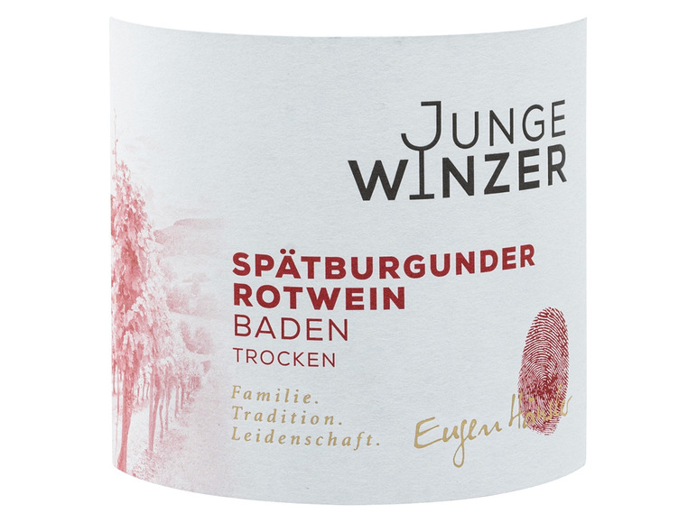 Junge Winzer Spätburgunder Baden QbA 2019 trocken, Rotwein