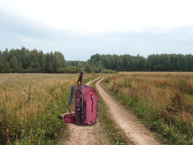 Gehe zu Vollbildansicht: CRIVIT Wanderrucksack, mit komfortabler Polsterung, fasst ca. 25l - Bild 3