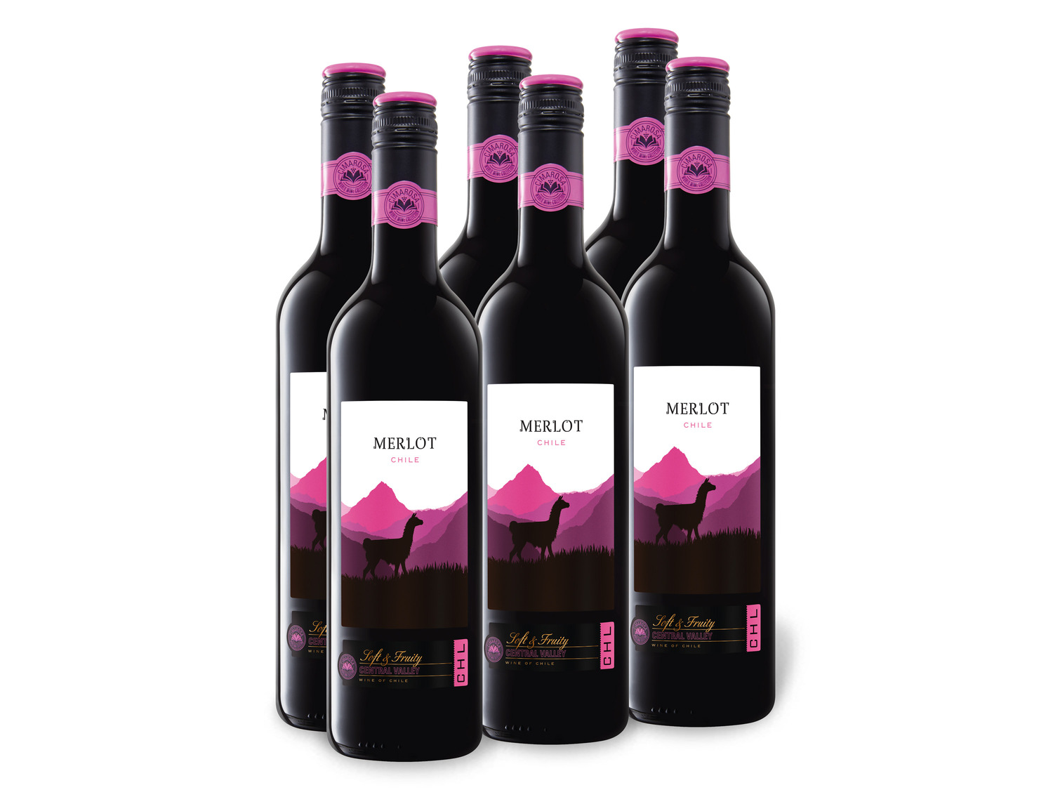 6 x 0,75-l-Flasche Weinpaket Valley Chi… Central Merlot