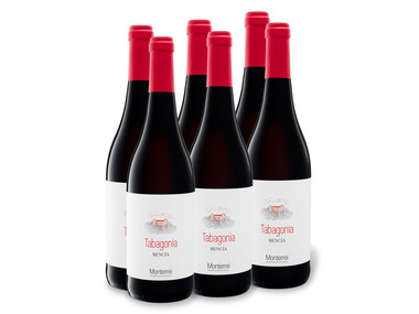 6 x 0,75-l-Flasche Weinpaket Tabagonia Mencía Monterre…