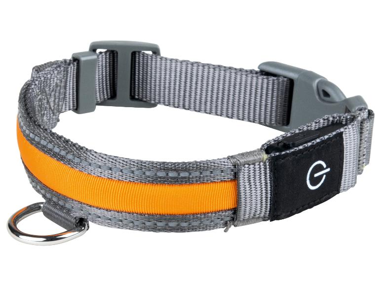 Gehe zu Vollbildansicht: zoofari® LED-Hundehalsband, mit 3 Leuchtfunktionen - Bild 1