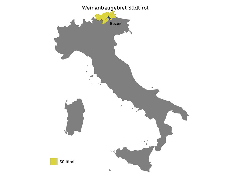 Kellerei Kaltern Sauvignon Alto trocken, Weißwein DOC Adige 2022