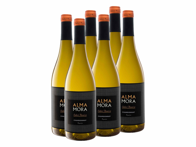 6 x 0,75-l-Flasche Weinpaket Weißwein Mora Select Argentinien Alma Chardonnay Reserve trocken
