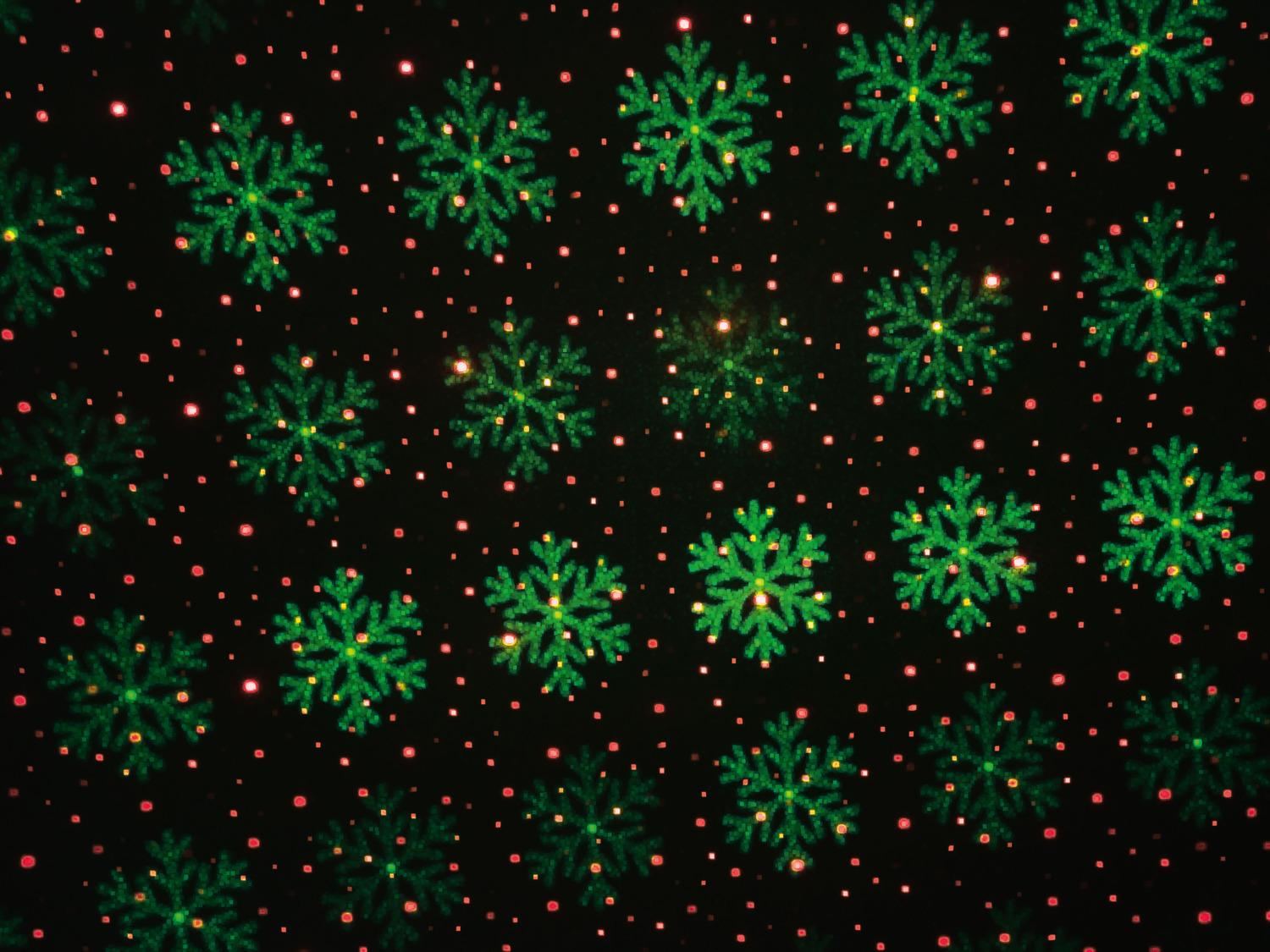 LIVARNO home Laser Projektor effekt… mit »Weihnachten«