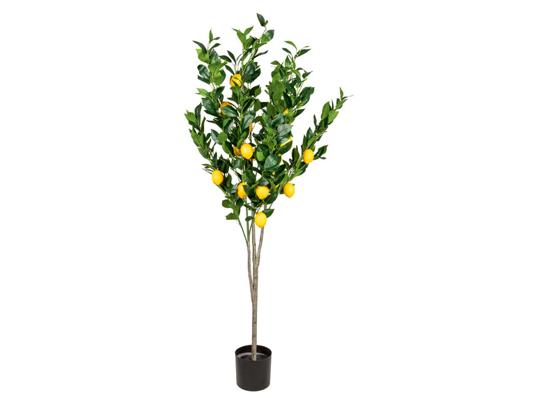 LIVARNO home Kunstpflanze m 1,6 Zitronenbaum