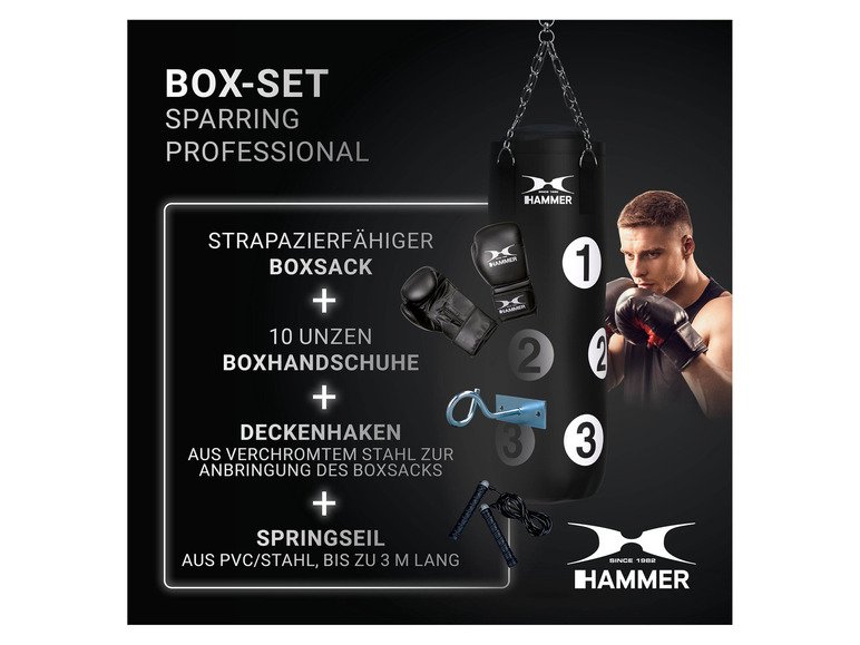 Professional HAMMER Sparring Box-Set