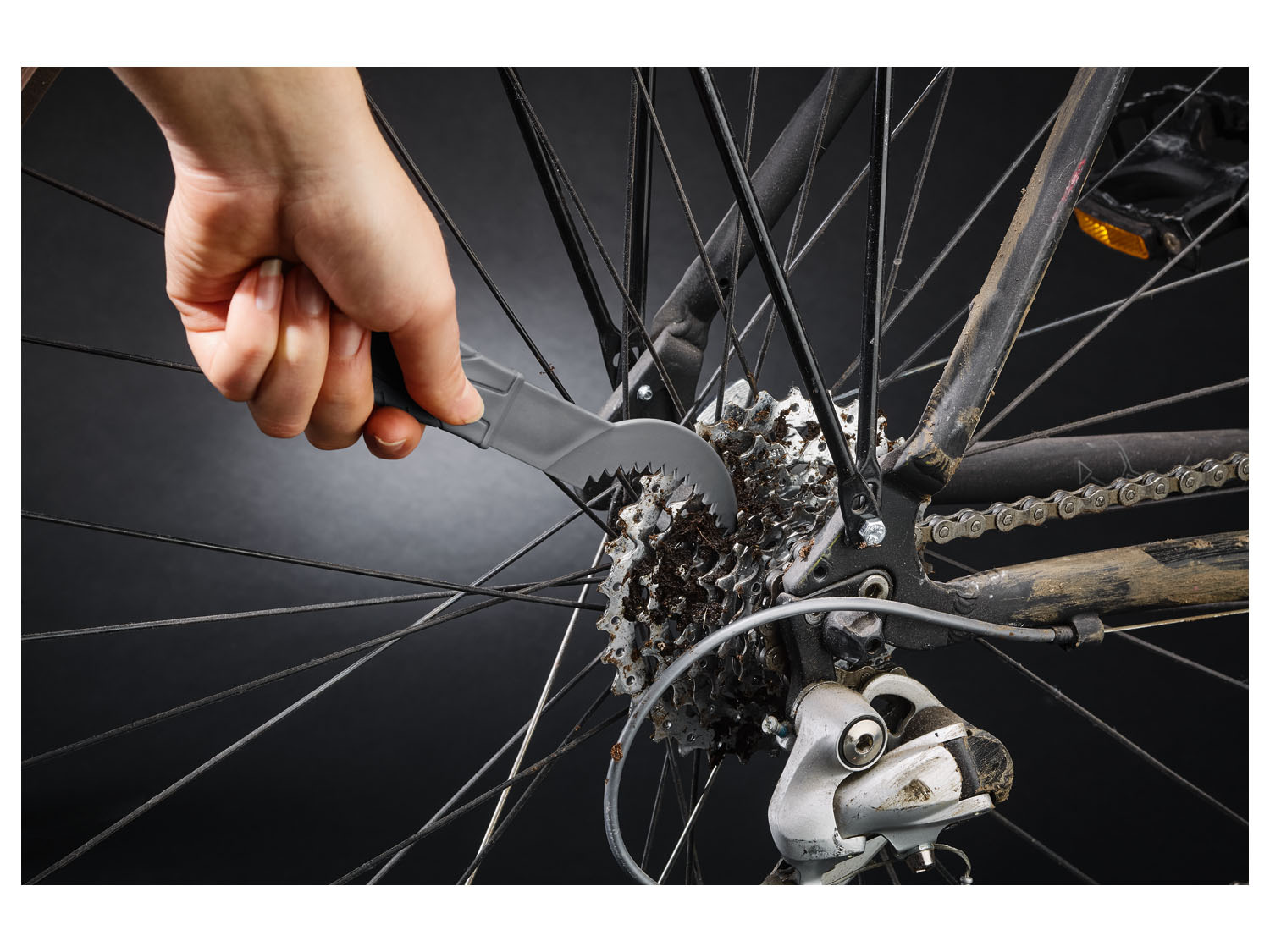 | online Fahrrad Reinigungs-Set CRIVIT kaufen LIDL