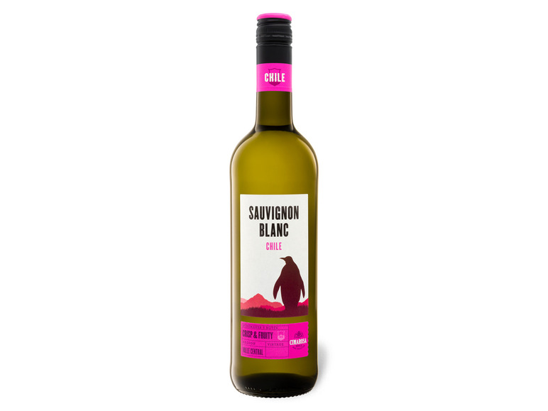 CIMAROSA Chile Weißwein trocken, 2022 Blanc Sauvignon