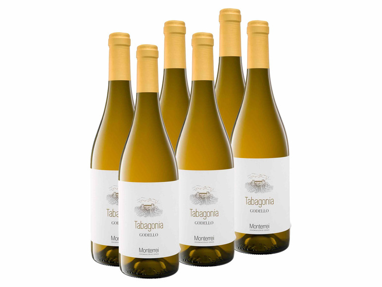 Monterrei x Tabagonia 6 0,75-l-Flasche Godello DO, Weißwein Weinpaket