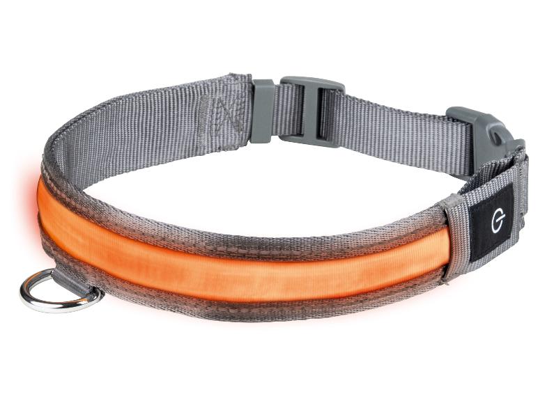 Gehe zu Vollbildansicht: zoofari® LED-Hundehalsband, mit 3 Leuchtfunktionen - Bild 12