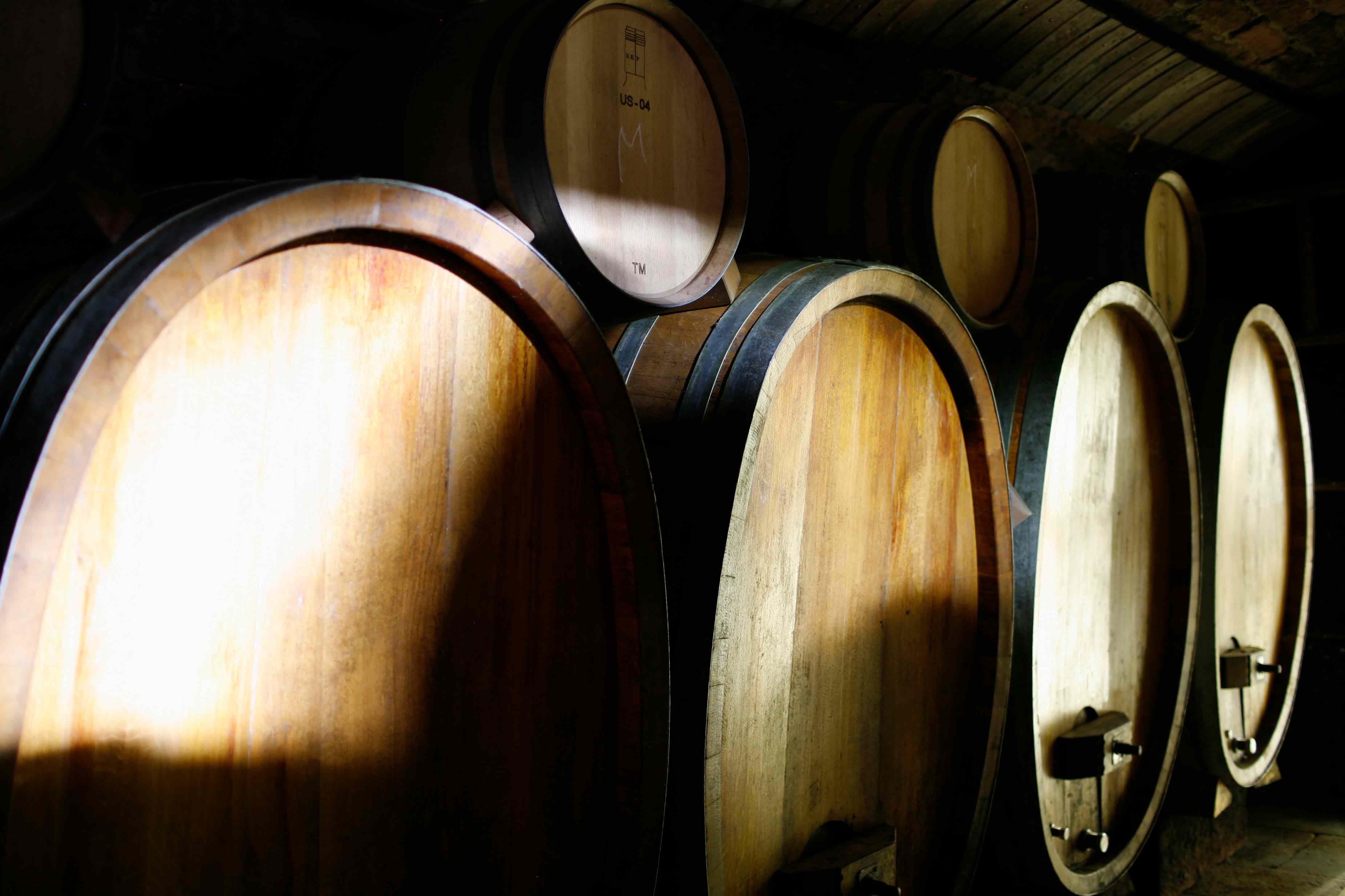 Wein by Nett Sauvignon Weißwein QbA 2021 trocken, Blanc