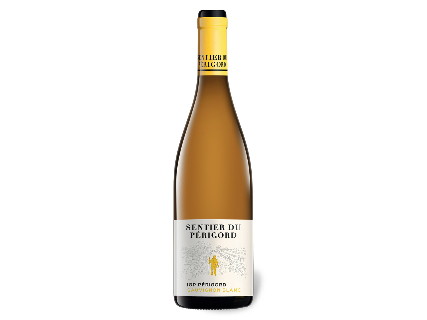 IGP Sentier Périgord 2021 Weißwein Sauvignon Blanc trocken du