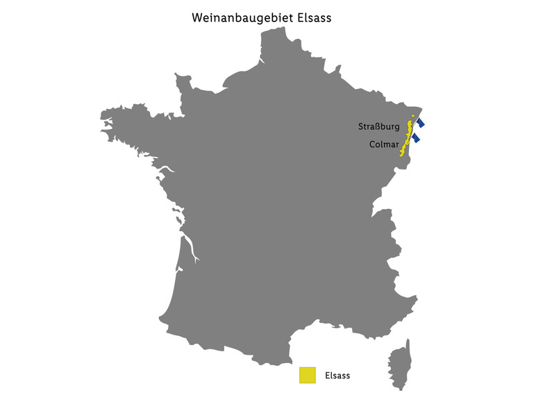 Riesling Vin \'Alsace AOP trocken, Weißwein 2020