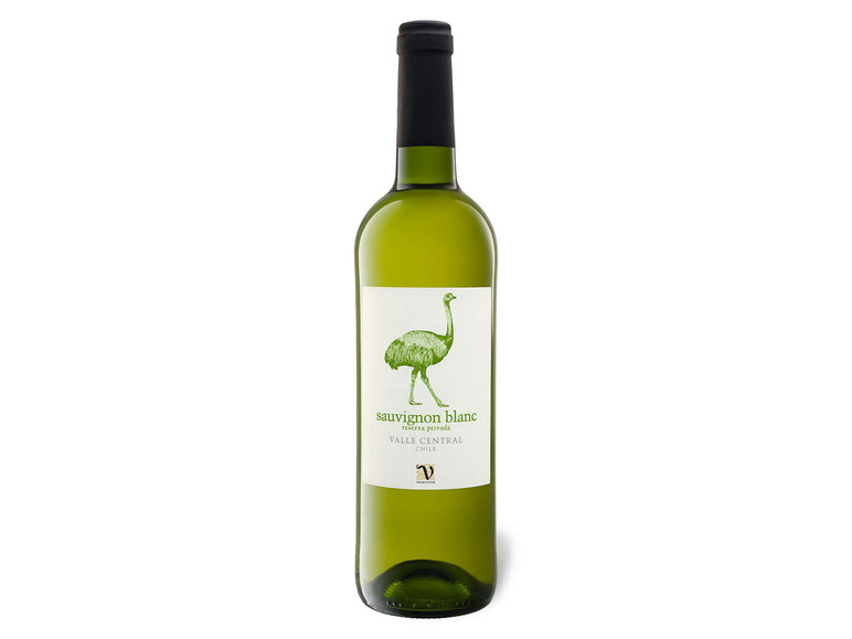 trocken, Weißwein Privada Chile Blanc VIAJERO 2021 Reserva Sauvignon