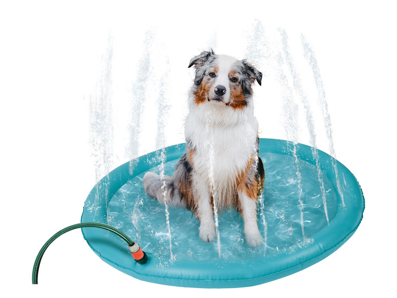 Gehe zu Vollbildansicht: zoofari® Hunde-Wasserspielmatte, faltbar - Bild 2
