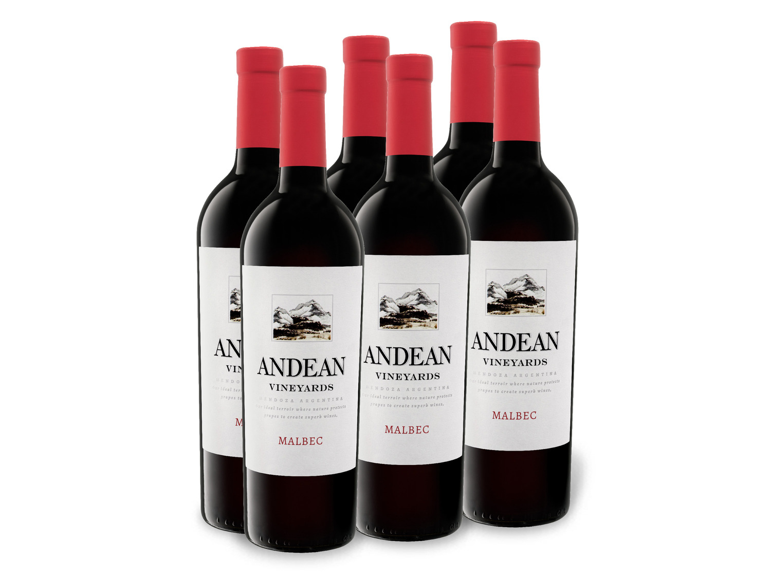 6 x 0,75-l-Flasche Weinpaket Malbec Andean A… Vineyards