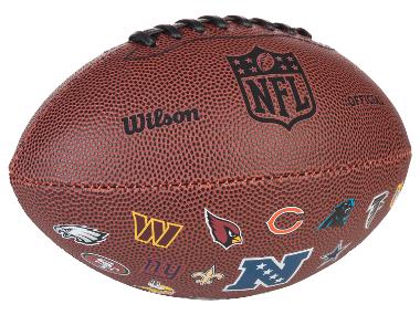 Wilson NFL 32 TEAM Mini Football