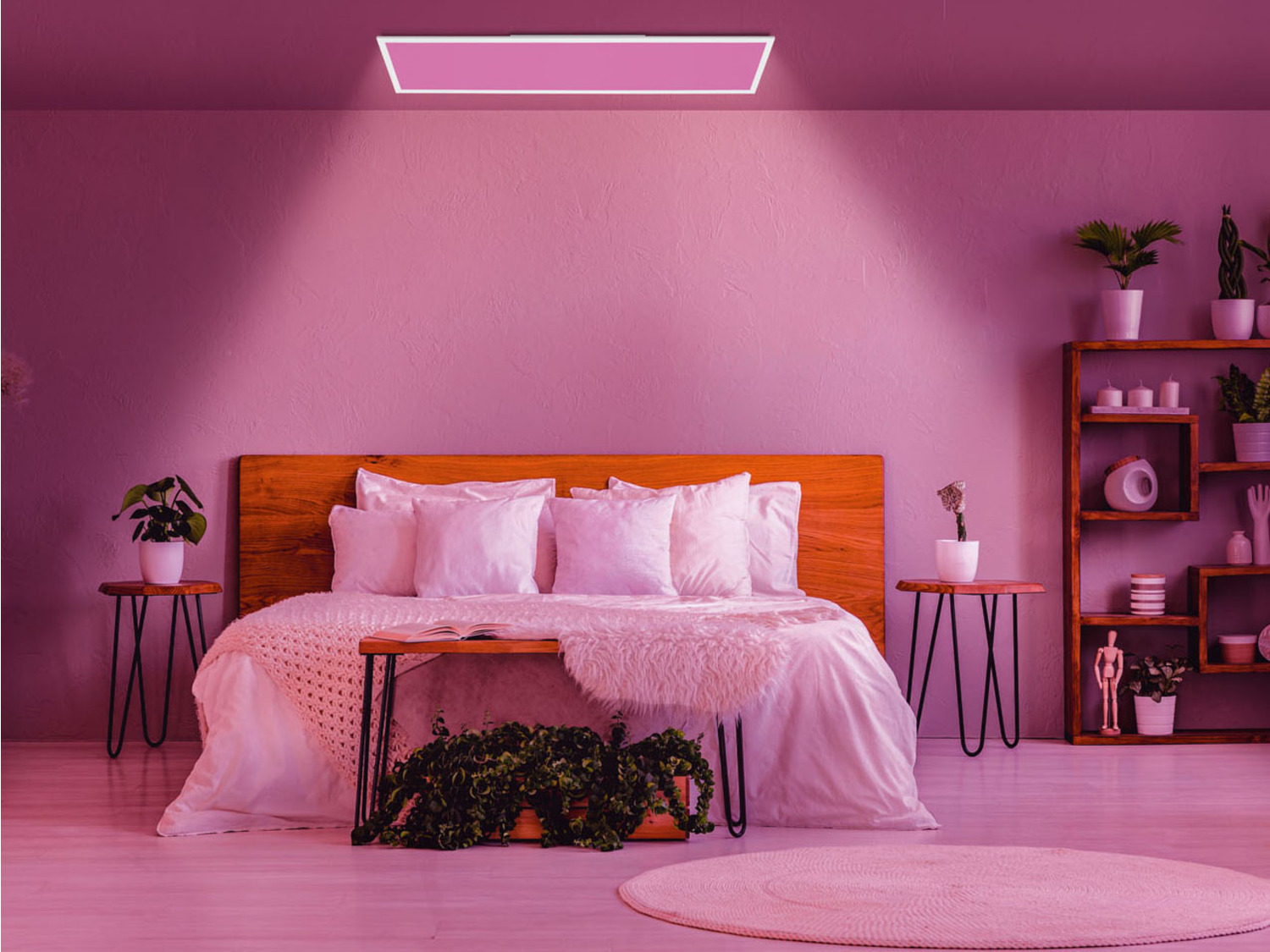 LIVARNO home LED-Deckenleuchte, 16 Farben »Z… Millionen